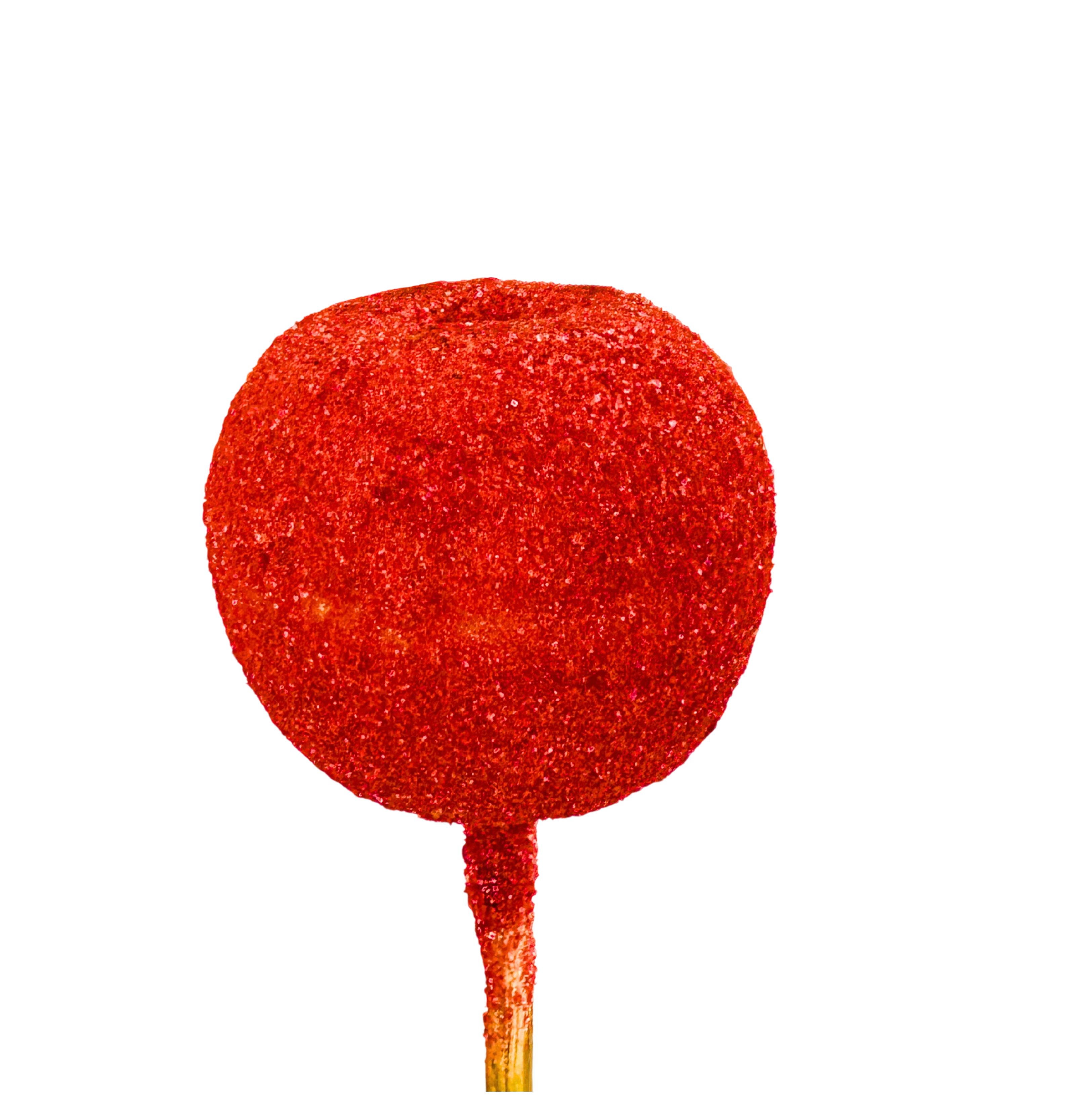 Manzana chamoy